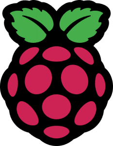 Raspberry Pi Foundation Logo